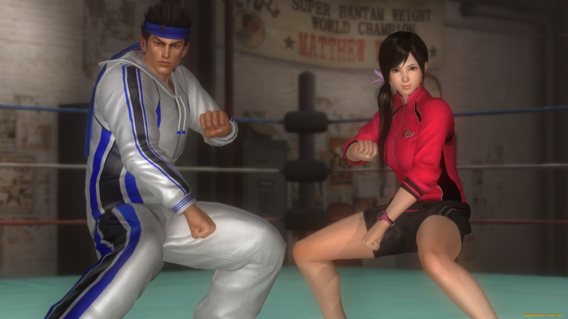  , dead or alive 5, , , , , 
